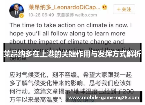 莱昂纳多在上港的关键作用与发挥方式解析